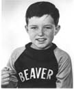 Jerry Mathers as the Beaver