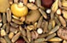 The Emporer's Seed Story